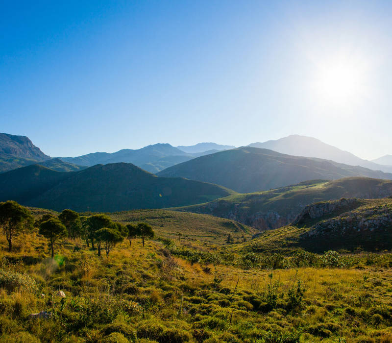 Mirthea Suites Mirthios Plakias South Crete Experiences Excursions