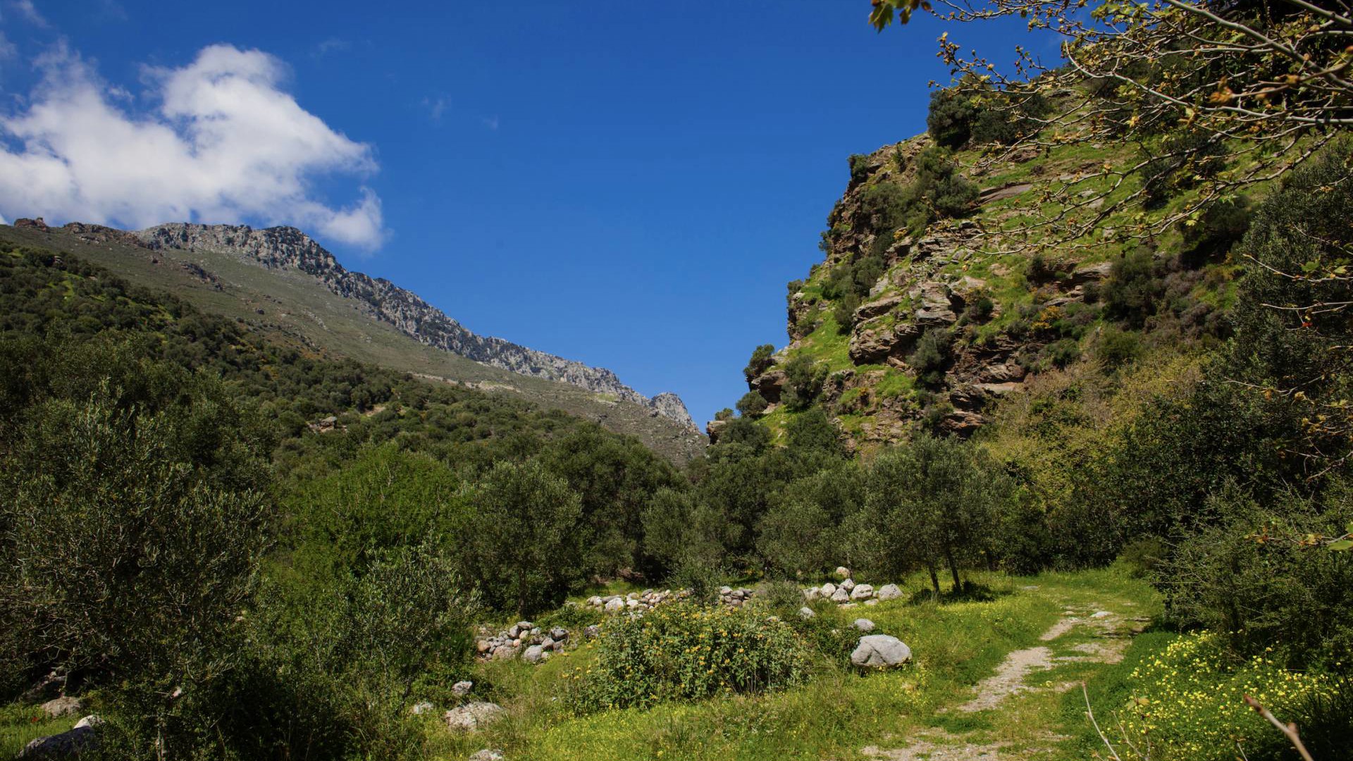 Mirthea Suites Mirthios Plakias South Crete Experiences Excursions 50